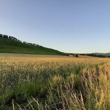 شقة Thuja Am Weinberg فايهينغن